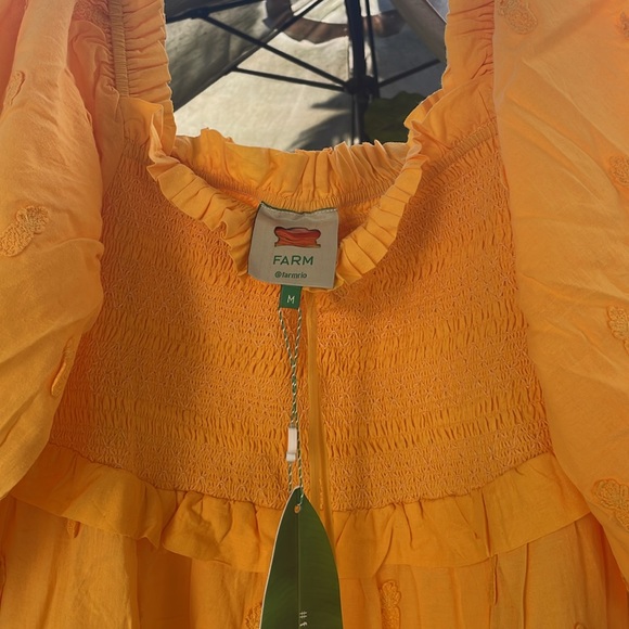 Farm Rio 3D Pineapple Midi Dress - Picture 8 of 13